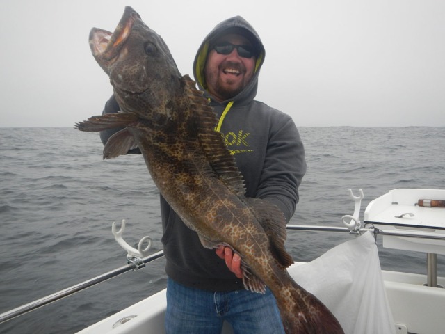 Jake Martin of Eureka landed this 15-lb. lingcod on Wednesday while fishing near Cape Mendocino with Reel Steel Sport Fishing. The rockfish action has been wide-open from Shelter Cove to Crescent City, but the salmon bite has been hit and miss. Photo courtesy of Reel Steel Sport Fishing